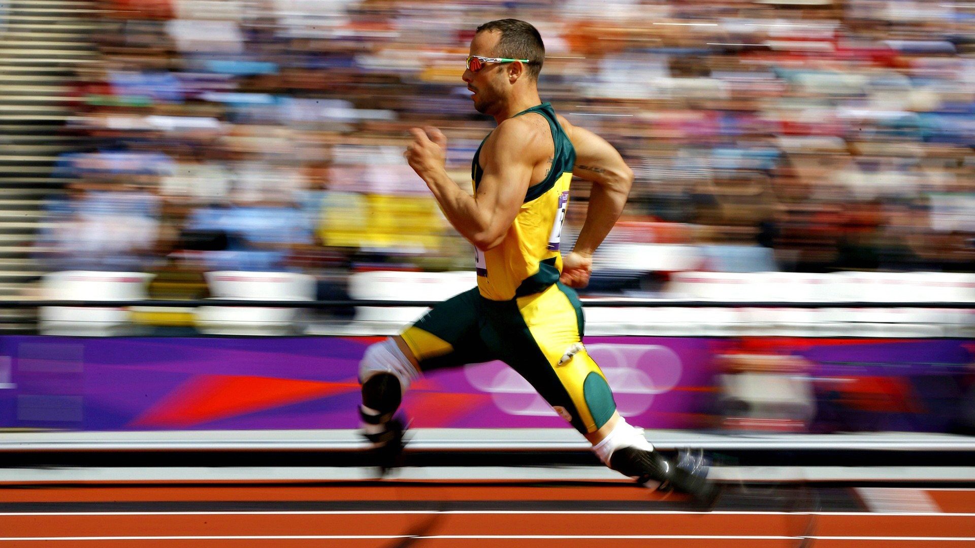 体育新闻中心完善运动员赛事信息采集系统,体育比赛新闻报道范文